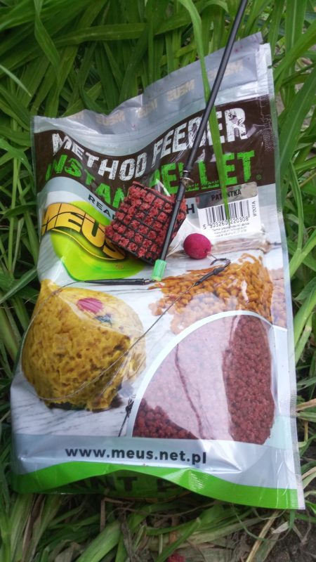 273027480_389509876271621_7078863549841201208_n