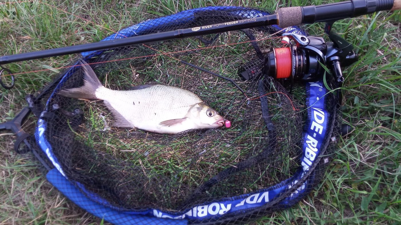 273293029_389509982938277_1118253299383388607_n