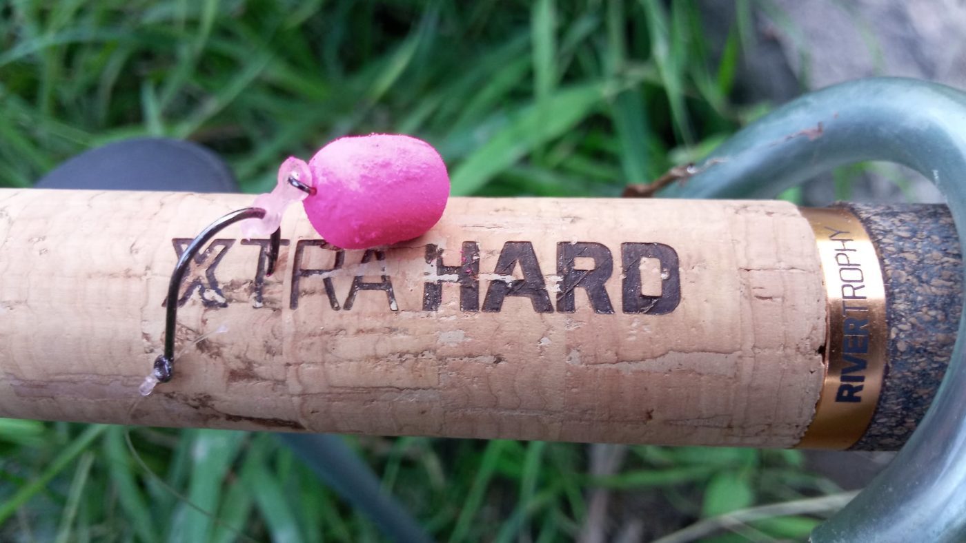 273322159_389509699604972_39849800552664292_n