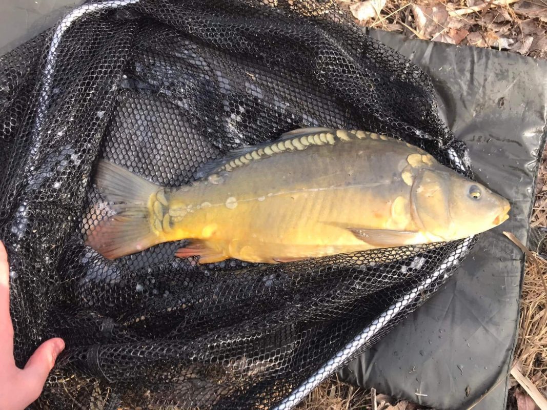 274361722_397238642165411_623964199338132256_n