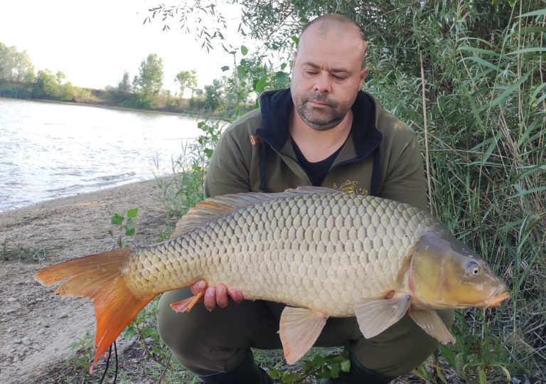 293042672_1473326319782835_950852660271428577_n