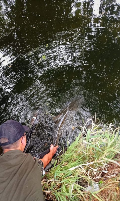 296241649_1485868215195312_3584009965468597387_n