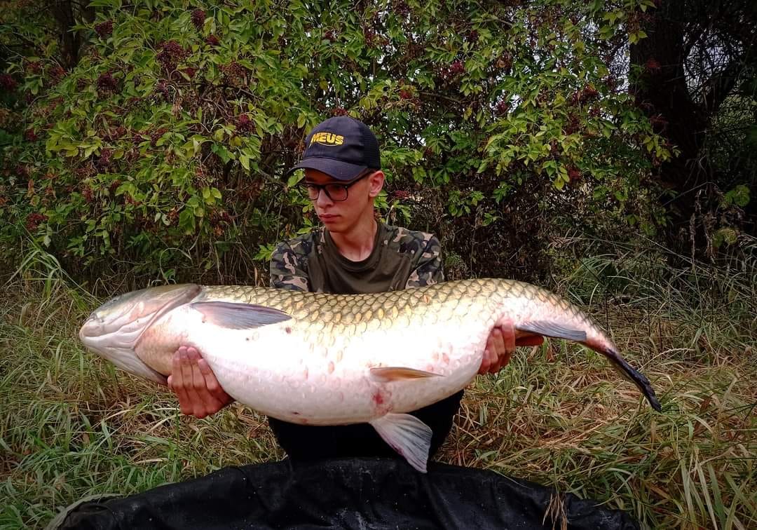 296480156_1485868168528650_6785772221205321252_n