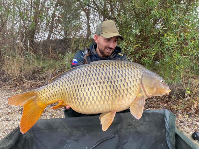 306845837_1522435308205269_6767848764773044482_n