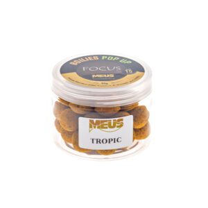 POP UP Focus - Tropic