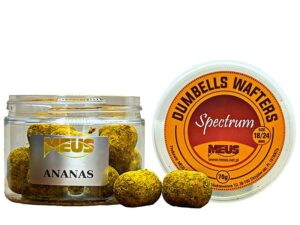 spectrum_dumbells_ananas_800x600