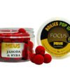 POP UP Focus - Jahoda & Ryba