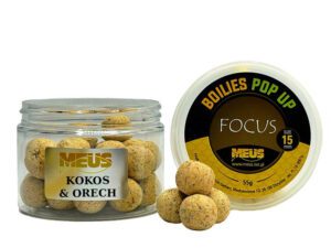 POP UP Focus - Kokos & Orech
