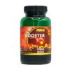 BOOSTER SPECTRUM – Čierna mušla