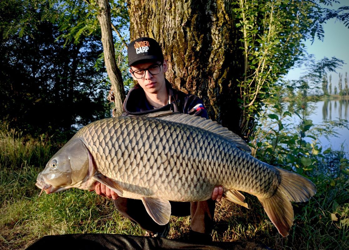 508234332_1314465143592148_438795442214945611_n