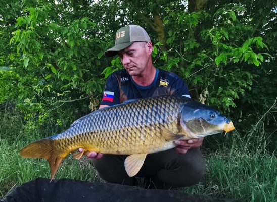 511529008_1321770082861654_34455456572419984_n