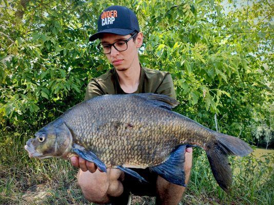 511559775_1321770116194984_1609713195288180367_n