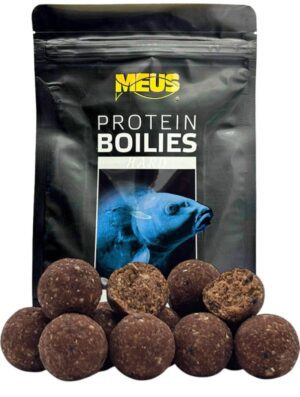 BOILIES CHALLENGE HARD - Squid & Scopex 24mm