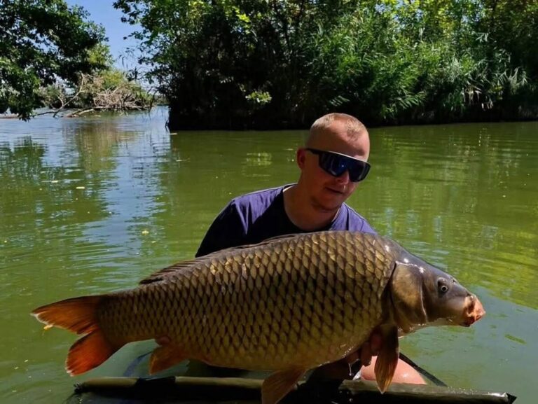 Michal stojí vo vode a púšťa uloveného kapra späť, nástraha boilies Anaconda AI Carp Shellfish & Plum