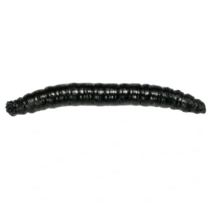 Revol Baits nástraha Crane Fly larva 45mm príchuť krevetka, farba čierna 12ks