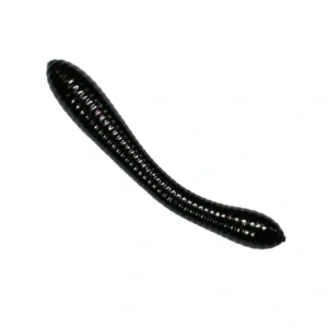 Revol Baits nástraha Leech 50mm príchuť syr-cesnak, farba čierna 12ks