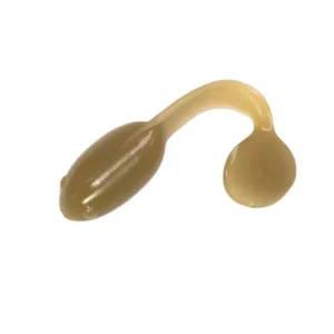 Revol Baits nástraha Pollywog 37mm príchuť syr-cesnak, farba béžová 10ks