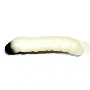 Revol Baits nástraha Caddis Larva 40mm príchuť syr-cesnak, farba biela 10ks